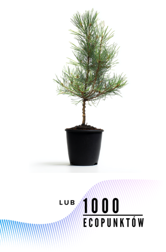 Przejdź do produktu Posadźmy drzewo