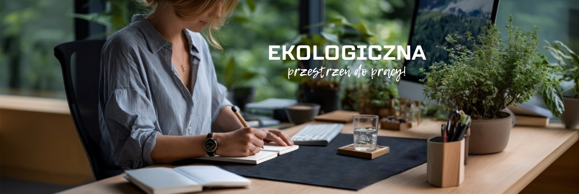 ecovivo. Ekologiczna przestrzeń do pracy!